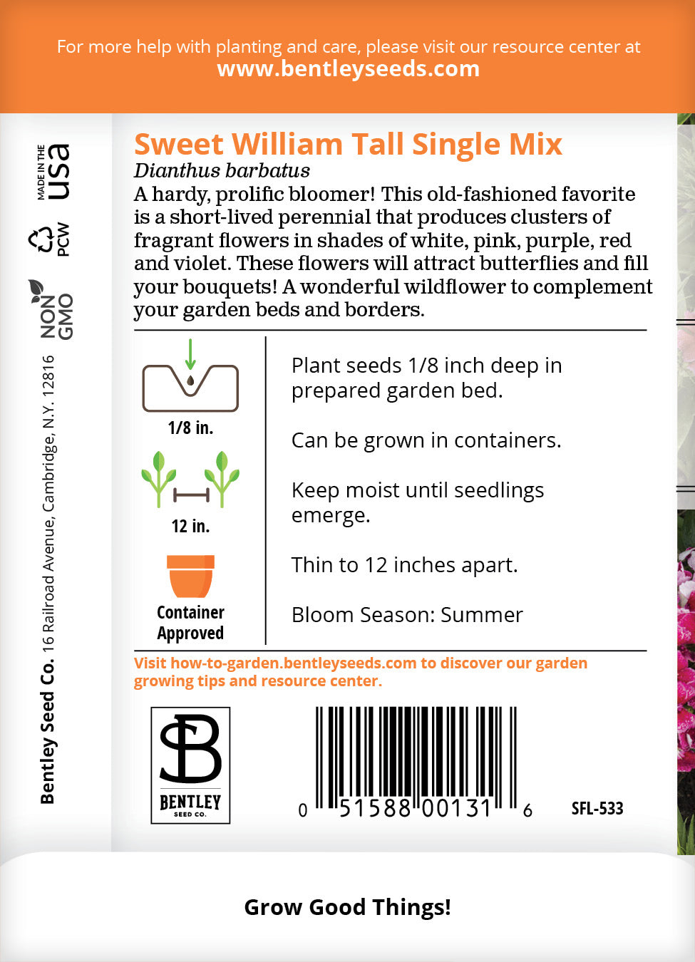 Sweet William, Tall Single Mix Seed Packets seed packet