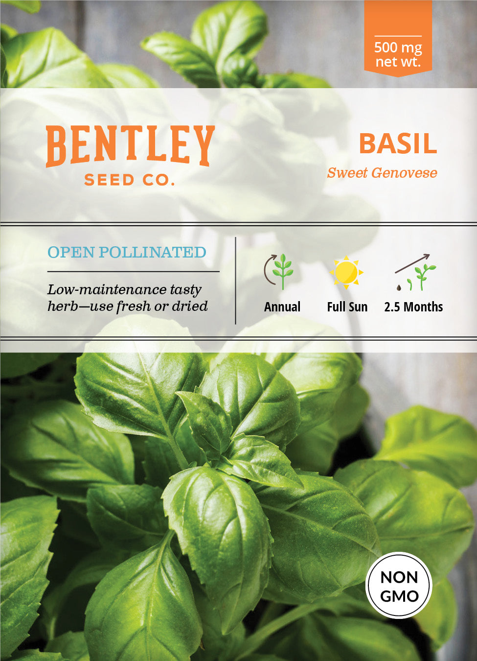Basil, Genovese Sweet Seed Packets garden seeds