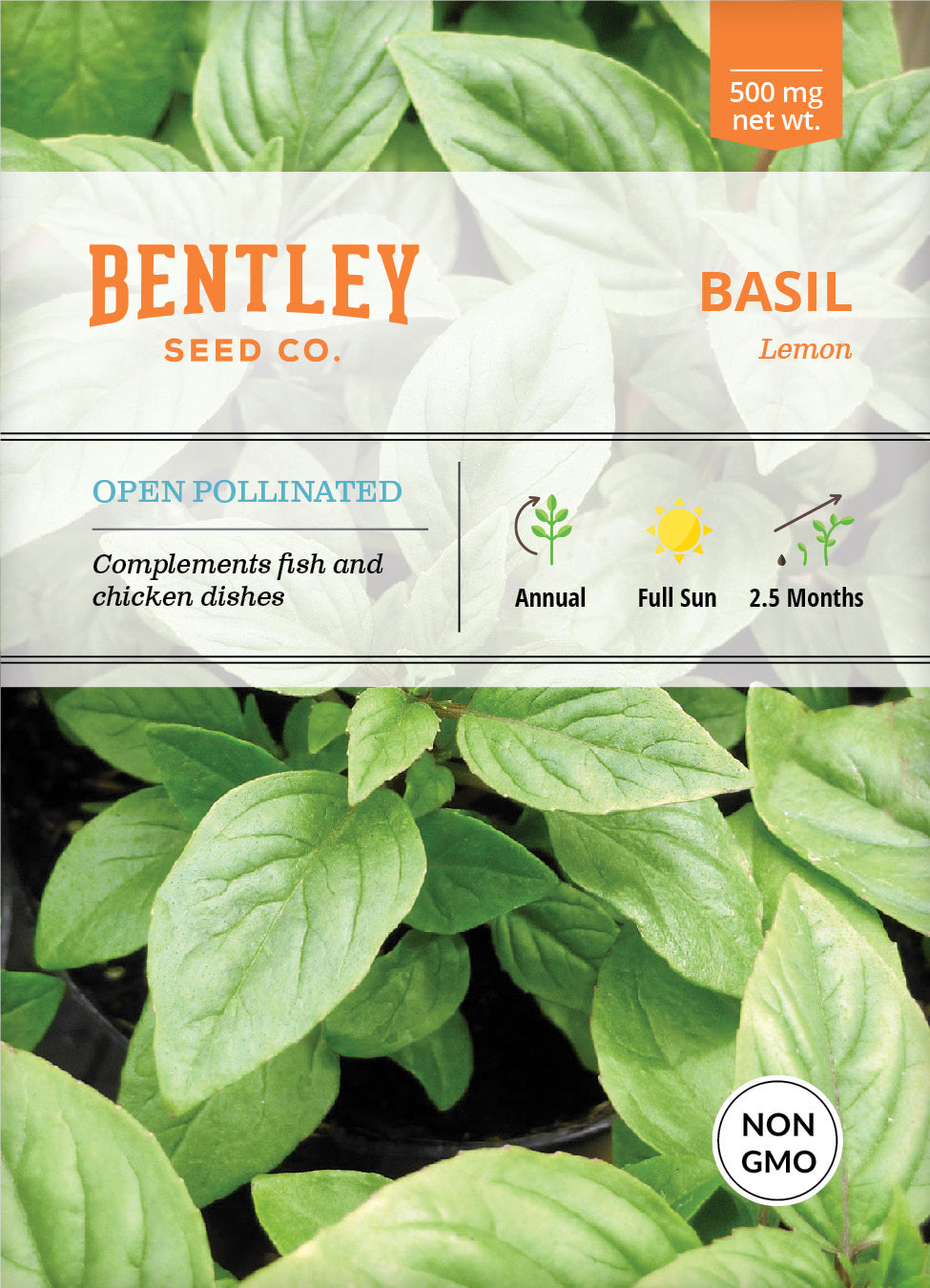 Basil, Lemon Seed Packets flower seeds