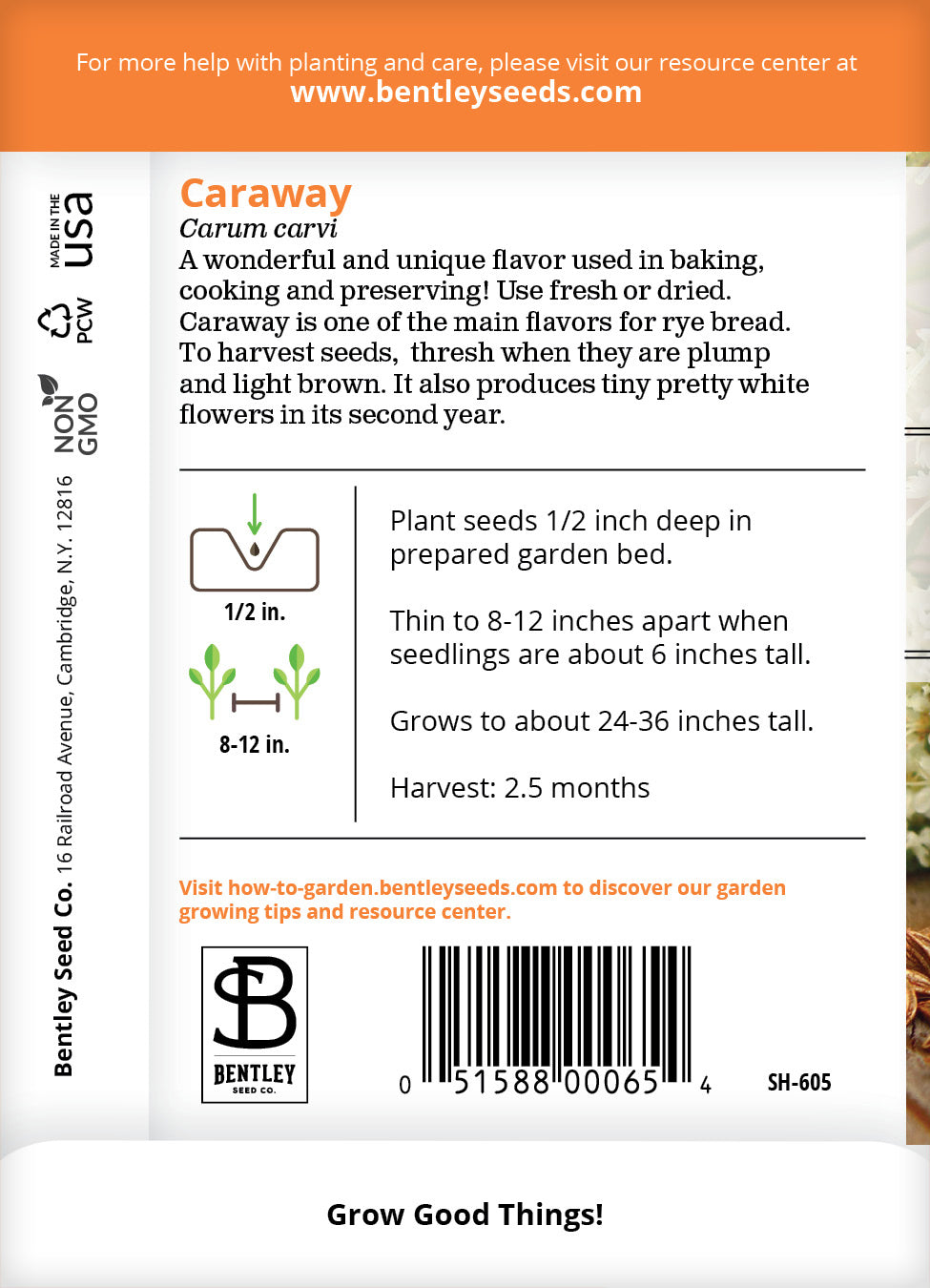 Caraway Seed Packets seed packet
