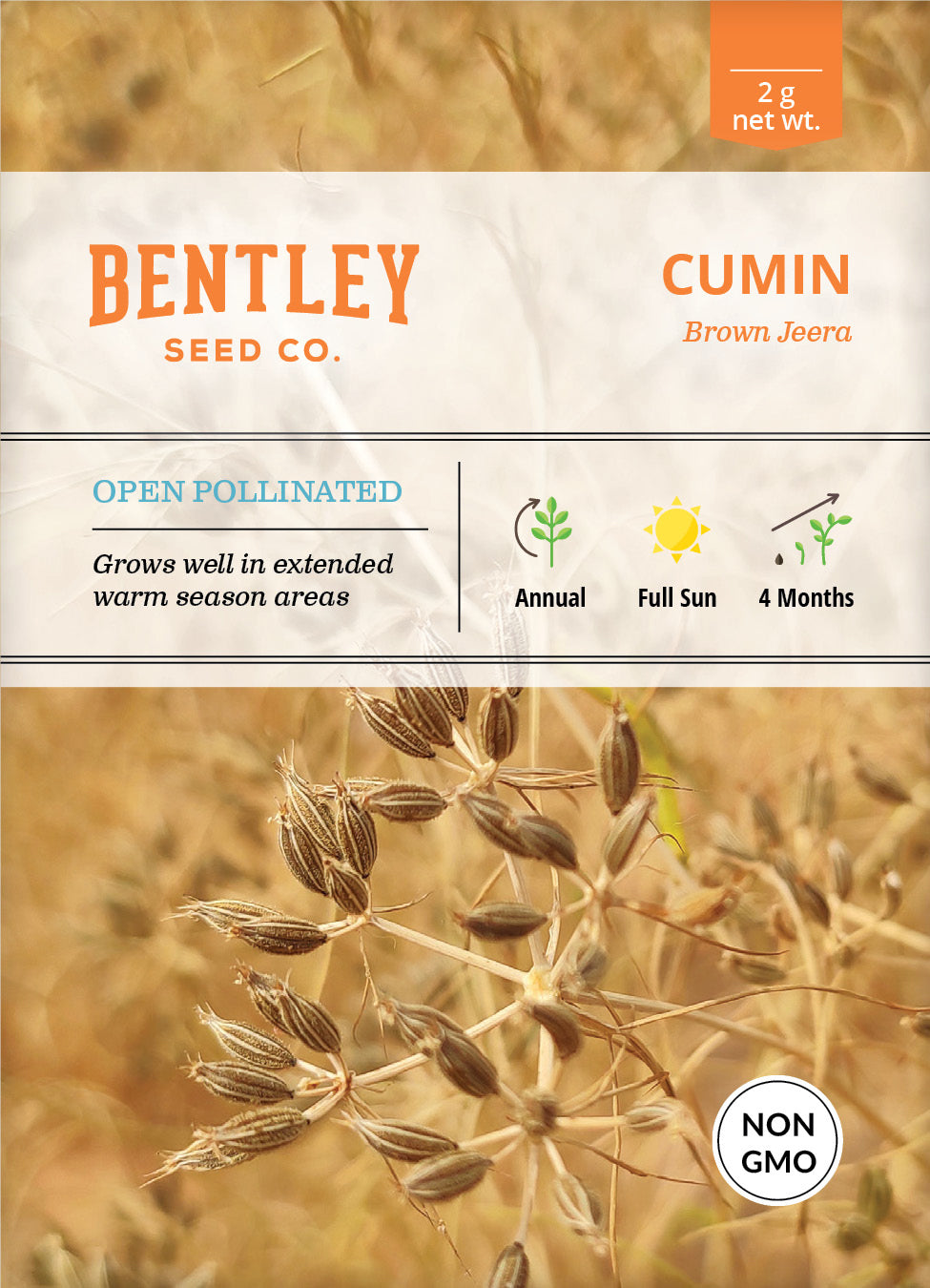 Cumin Seed Packets seed packet