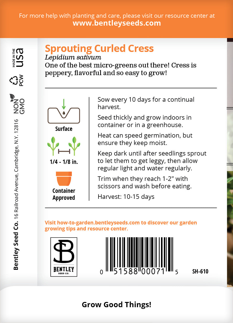 Cress, Curled Seed Packets flower seeds