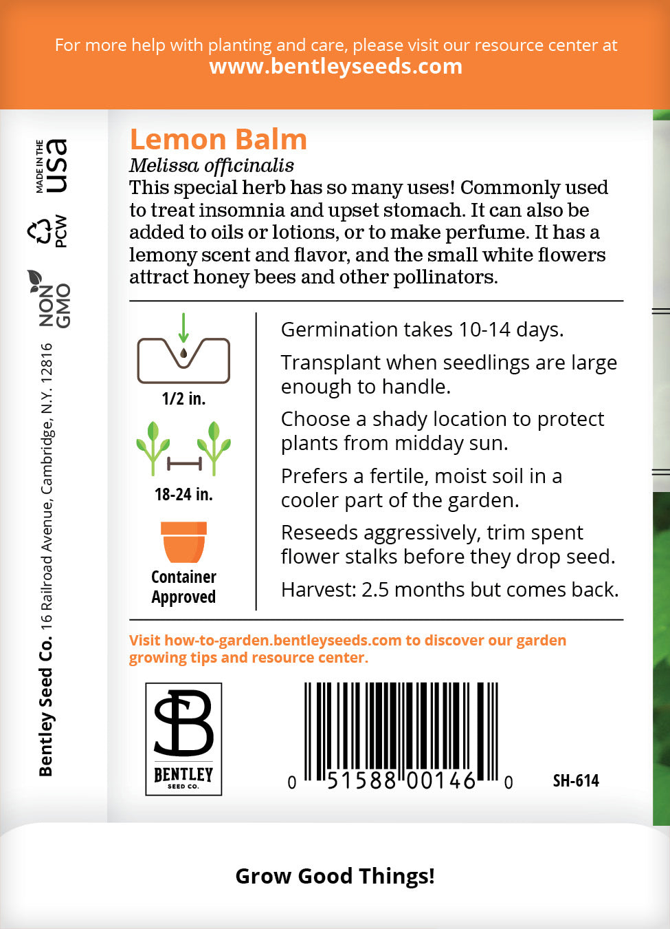 Lemon Balm Seed Packets garden seeds