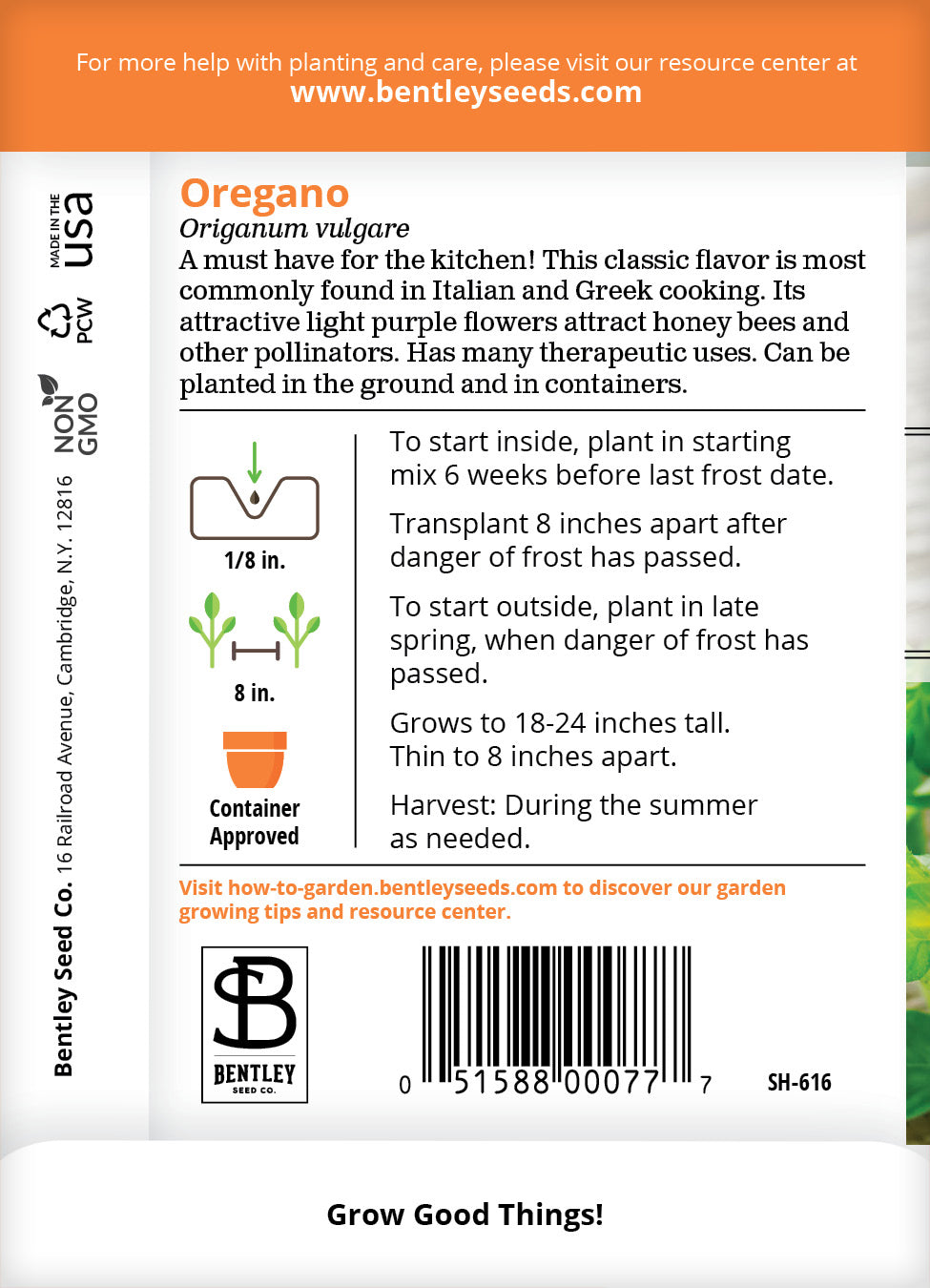 Oregano Seed Packets seed packet