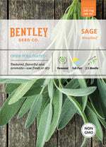 Sage, Broadleaf Seed Packets flower seeds