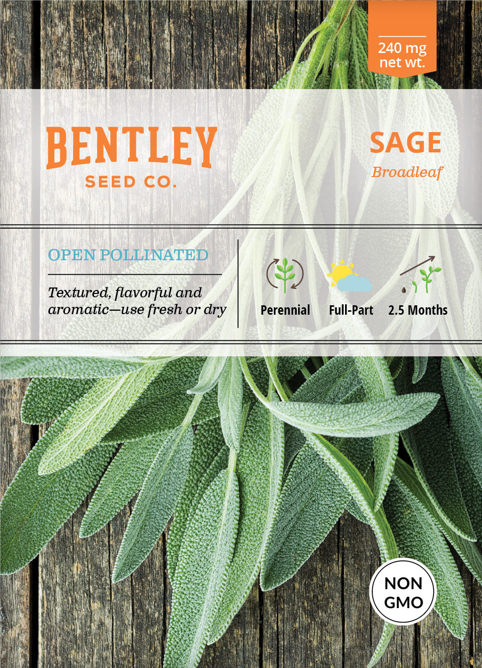 Sage, Broadleaf Seed Packets flower seeds