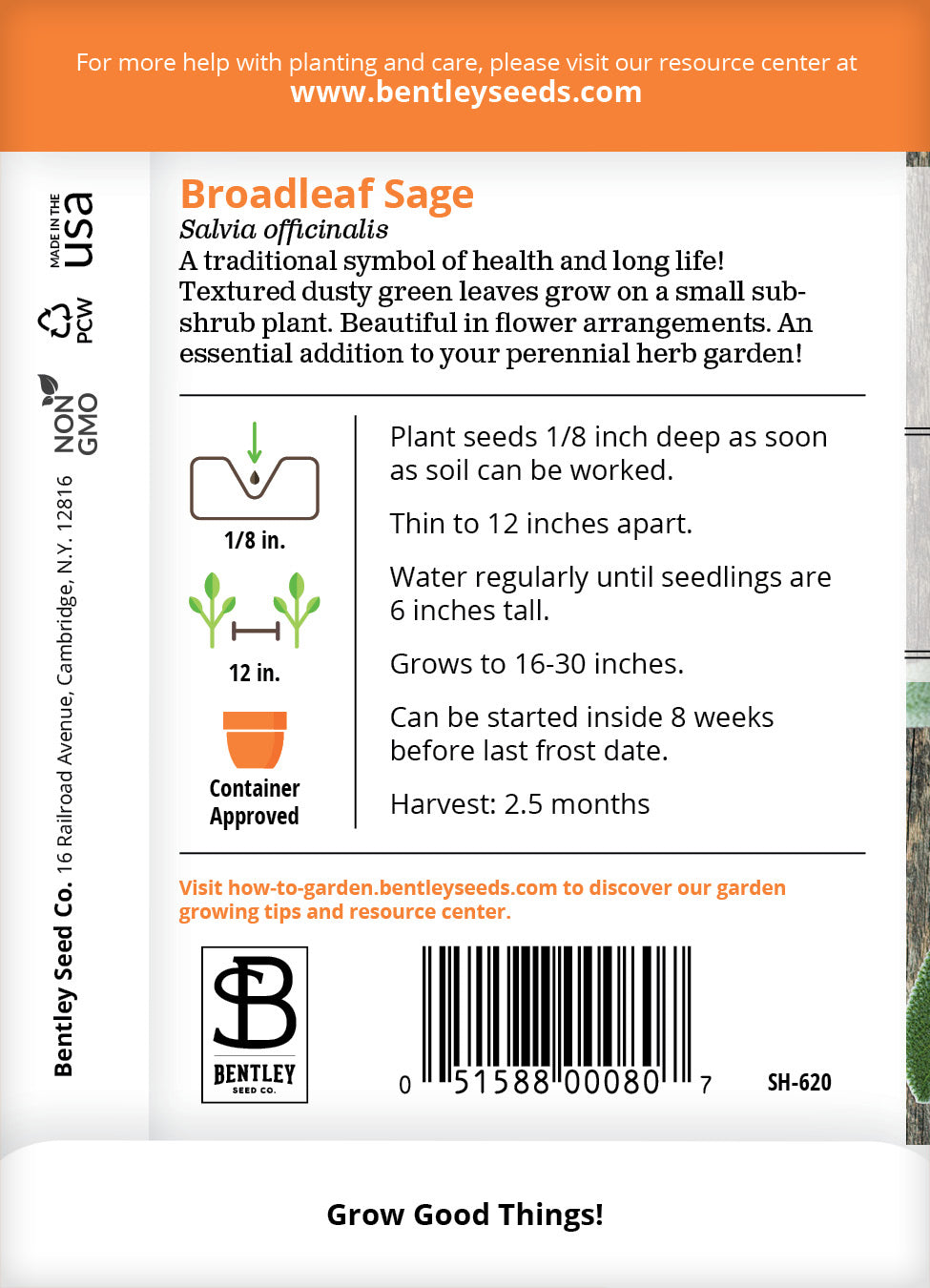 Sage, Broadleaf Seed Packets flower seeds