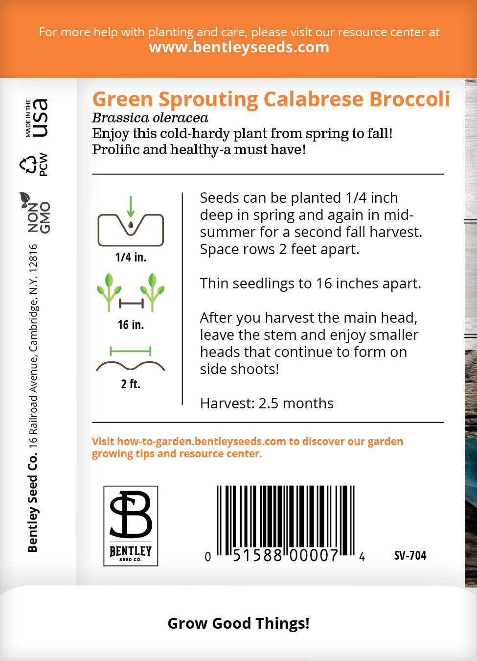 Broccoli, Green Sprouting Seed Packets flower seeds