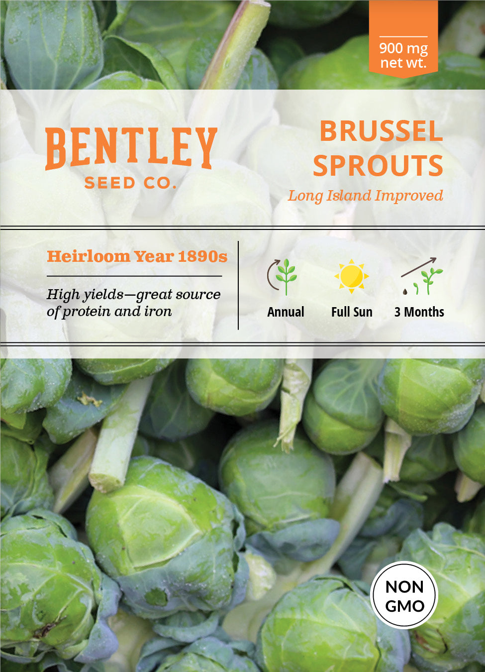 Country Creek Long Island Brussels Sprout Seeds – Heirloom, Non-GMO – 100 Seeds
