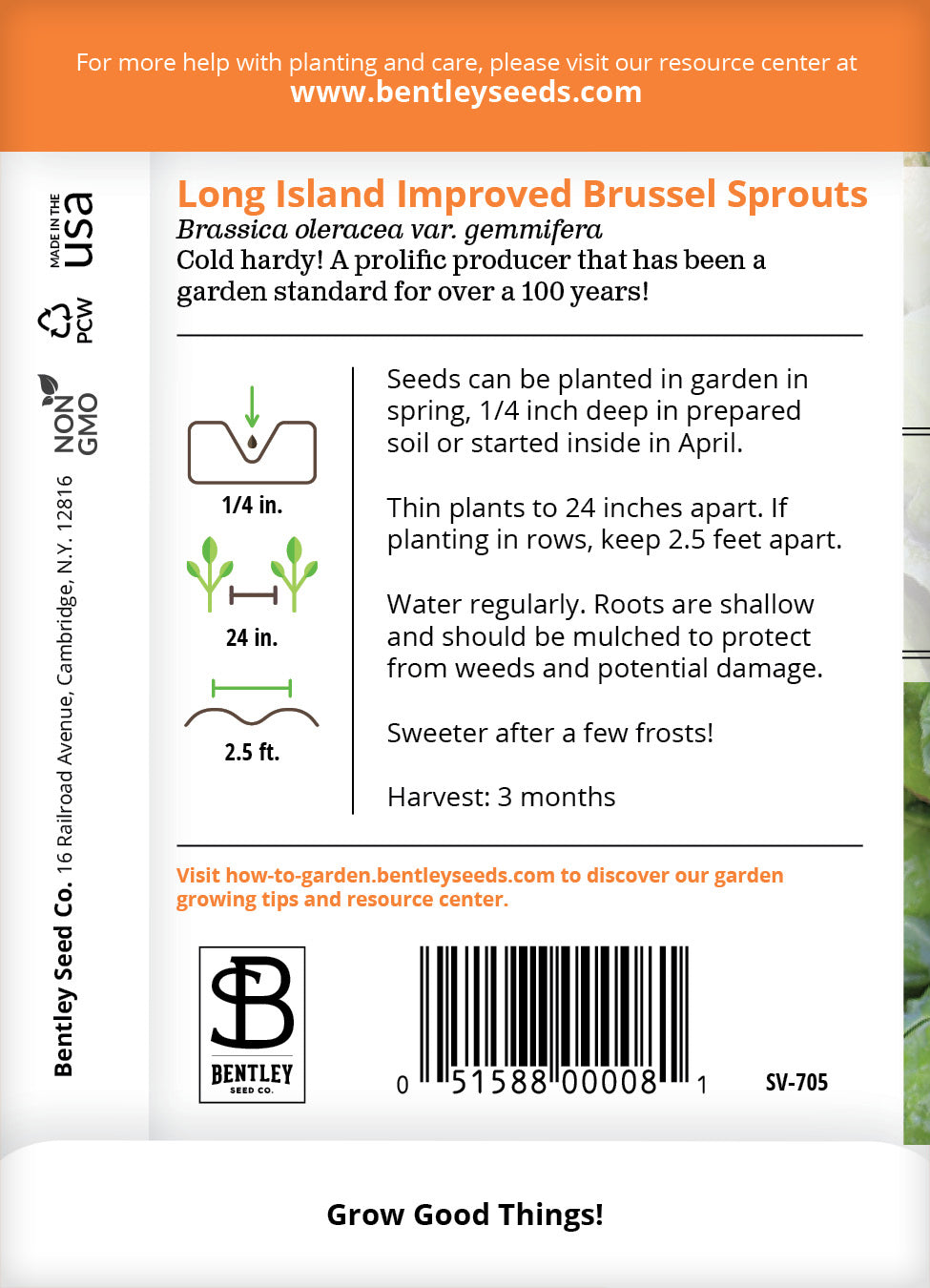 Brussel Sprouts, Long Island Seed Packets seed packet