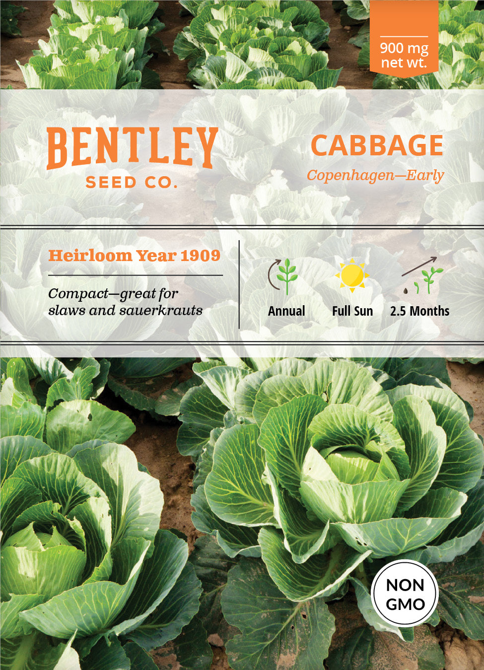 cabbage plant seeds Cabbage, Copenhagen Early Seed Packets