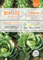 Cabbage, Copenhagen Early Seed Packets seed packet