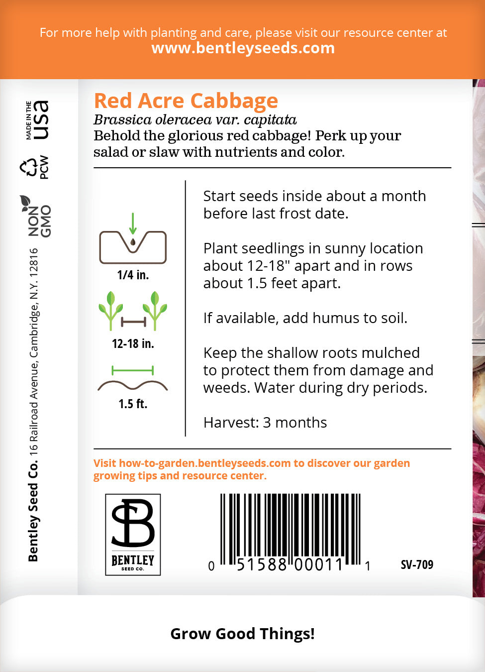 Cabbage, Red Acre Seed Packets garden seeds