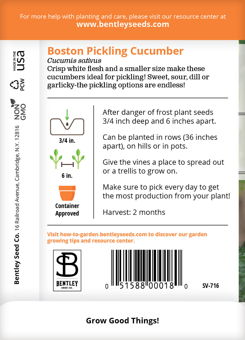 Cucumber, Boston Pickling Seed Packets garden seeds
