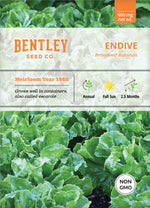 Endive, Broadleaf Batavian Seed Packets flower seeds