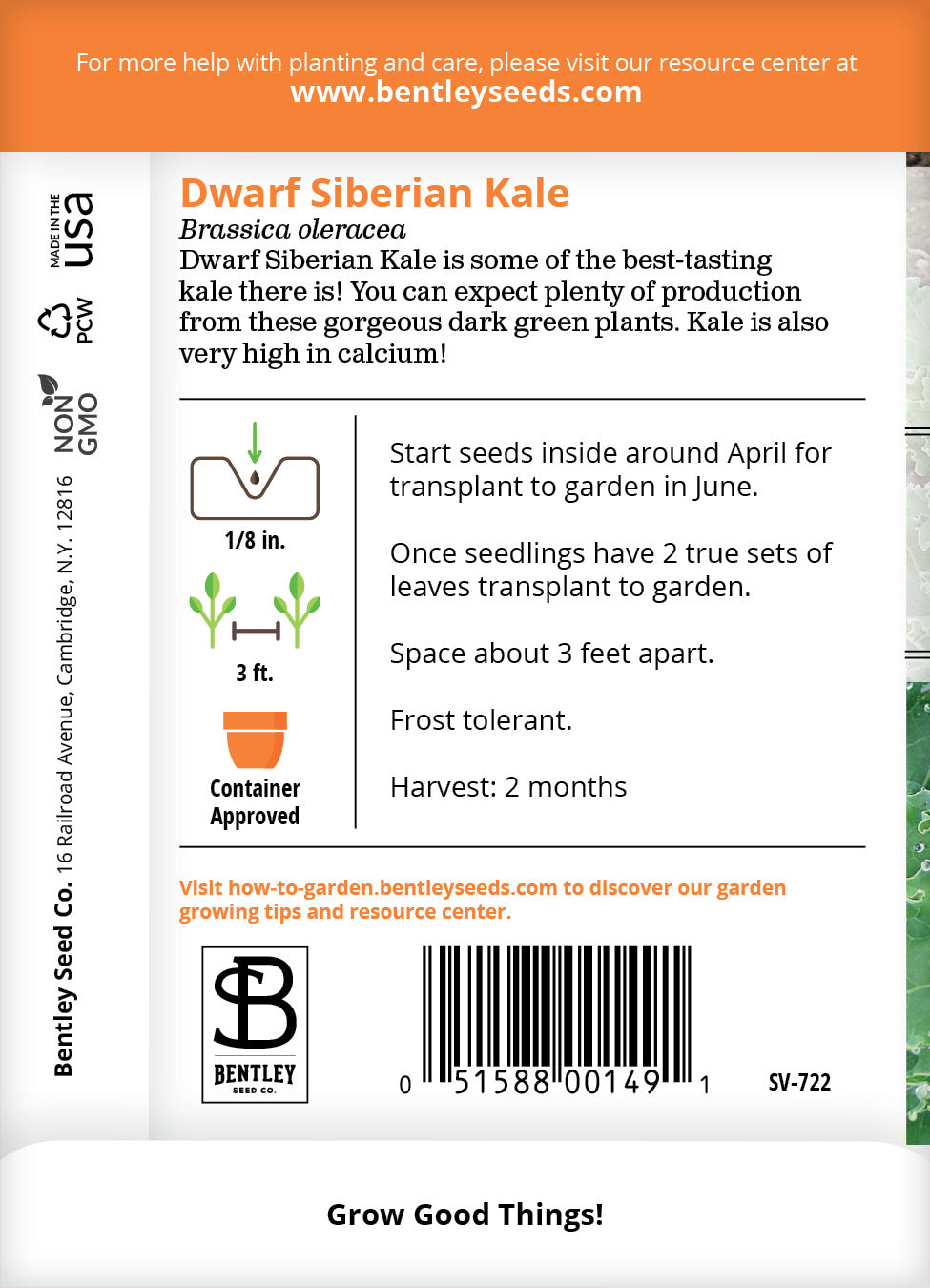 Kale, Dwarf Siberian Seed Packets flower seeds
