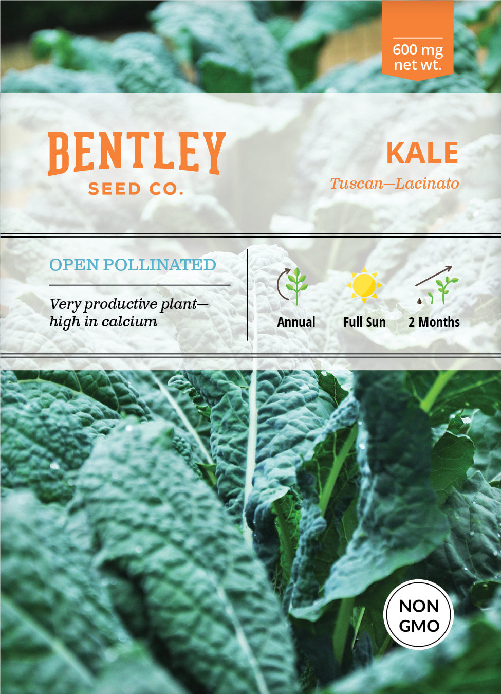 Kale, Lacinato Seed Packets seed packet