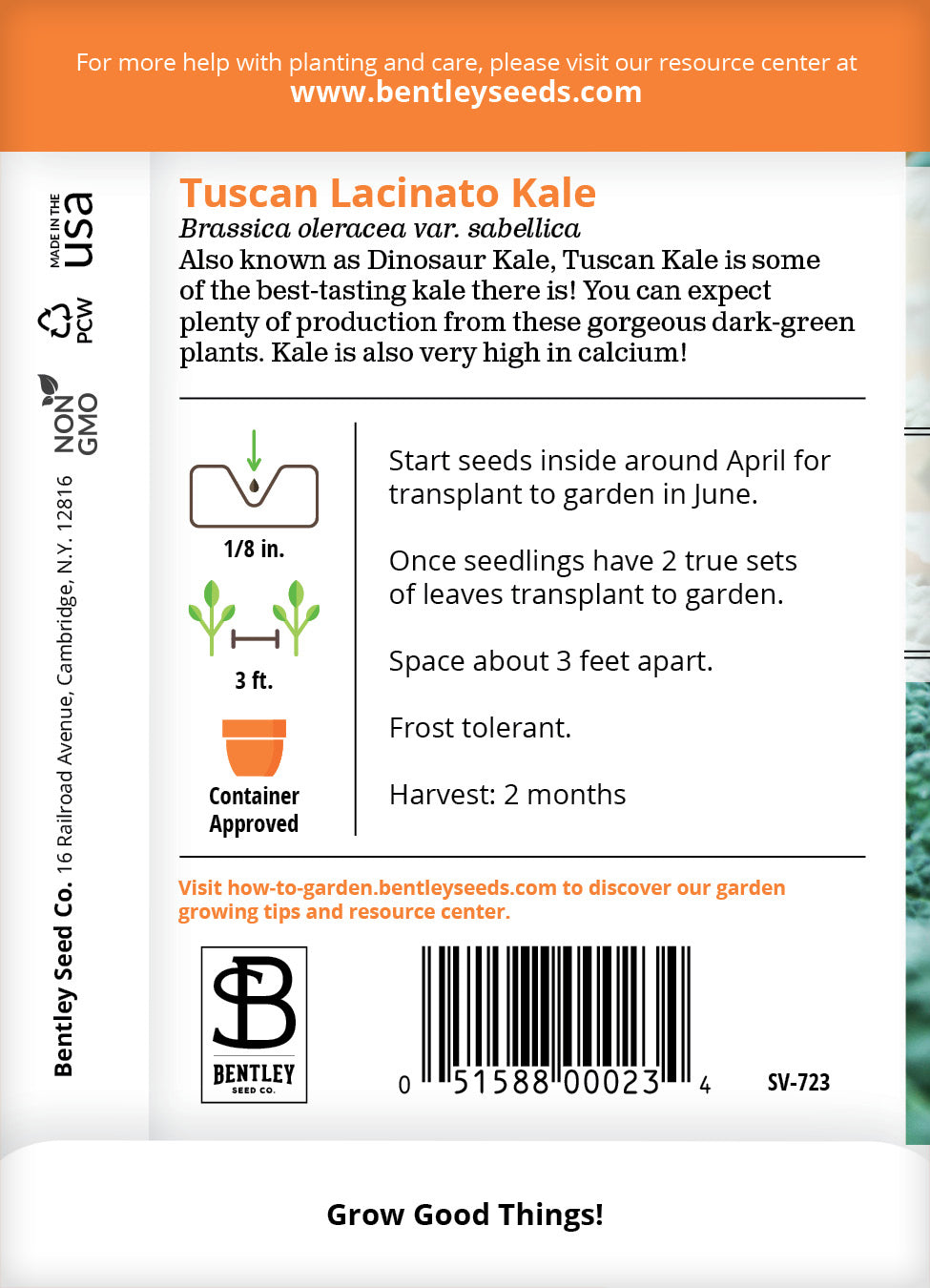 Kale, Lacinato Seed Packets seed packet