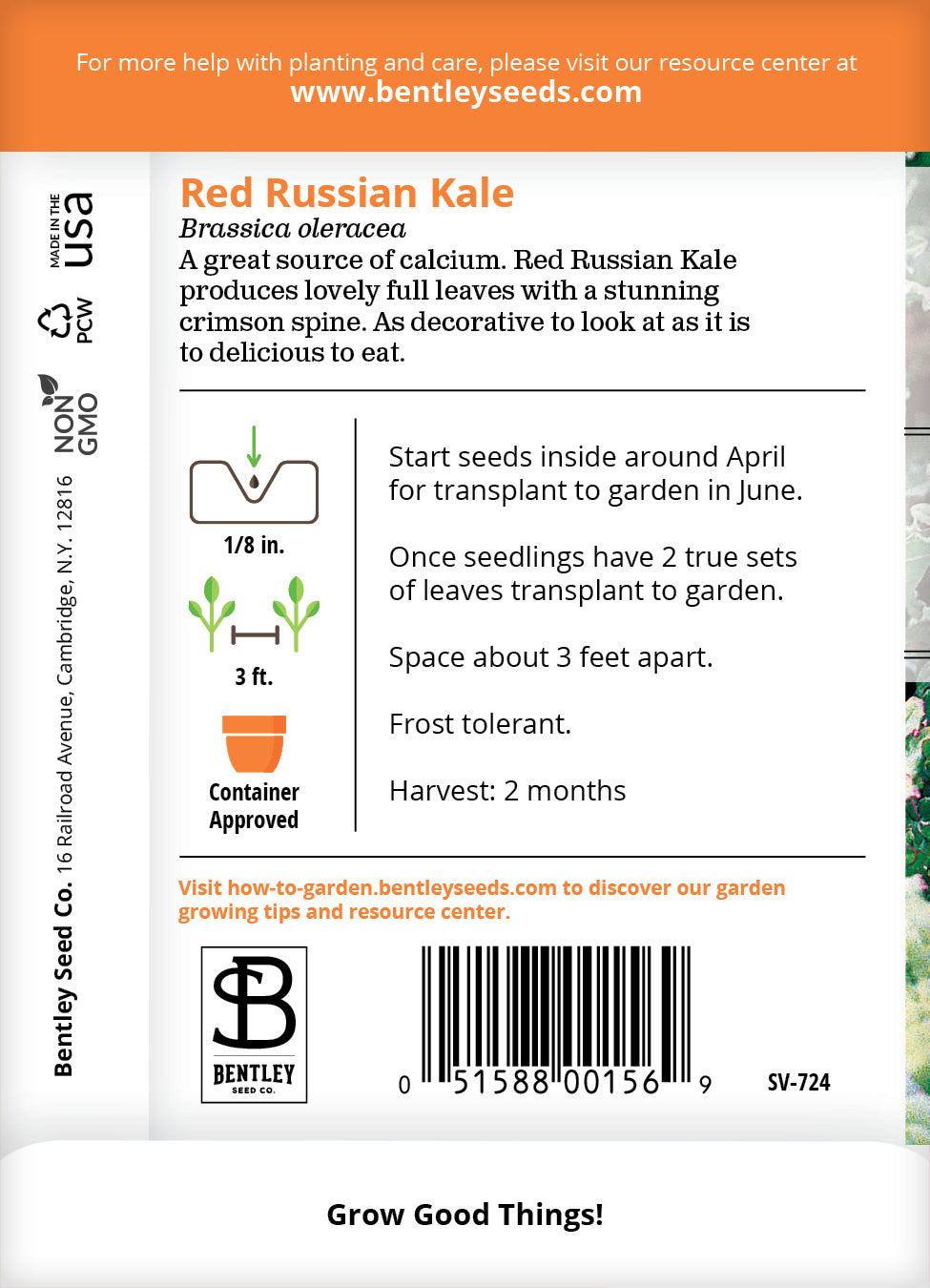 Kale, Red Russian Seed Packets garden seeds