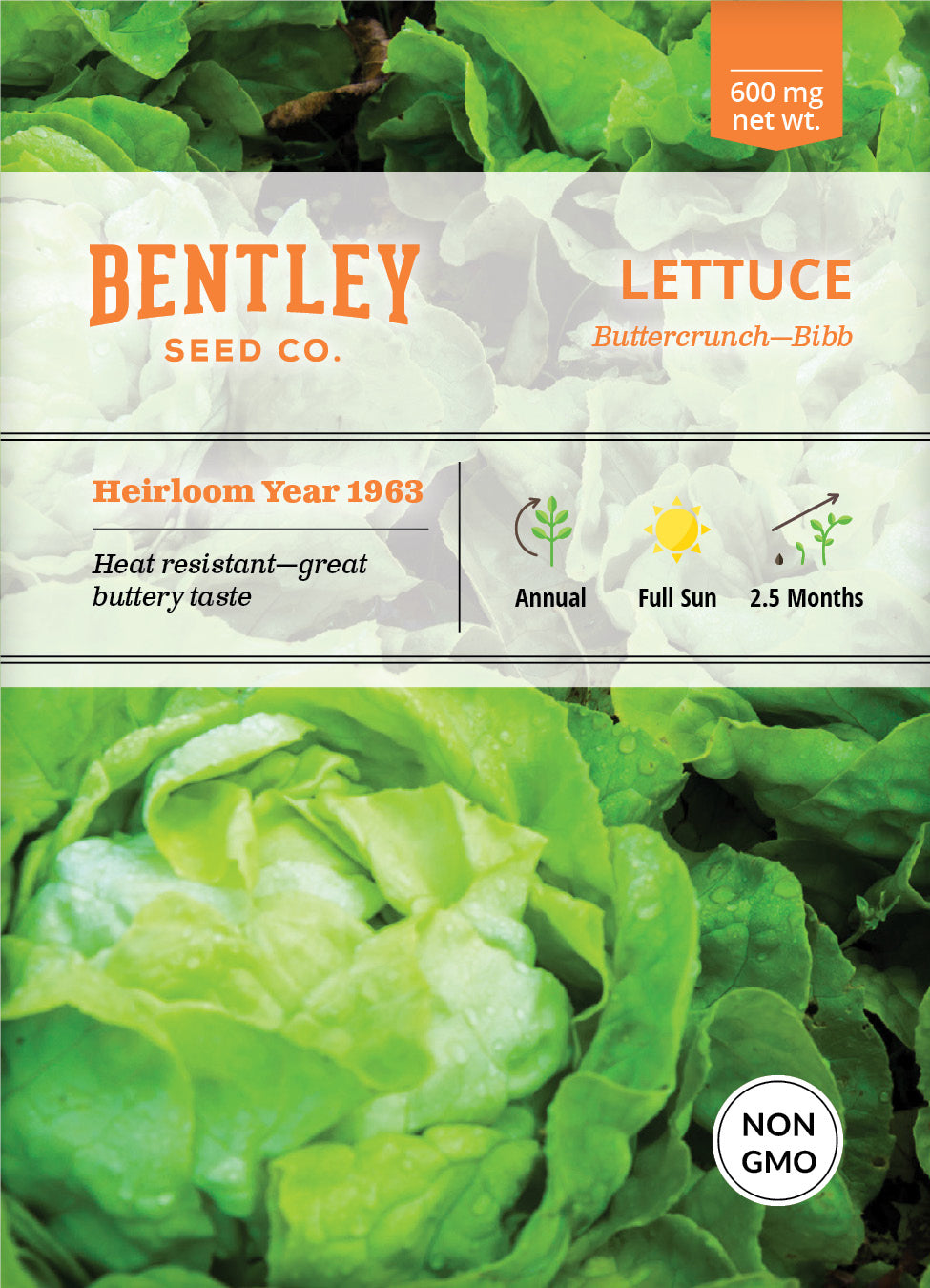 Lettuce, Buttercrunch Seed Packets seed packet