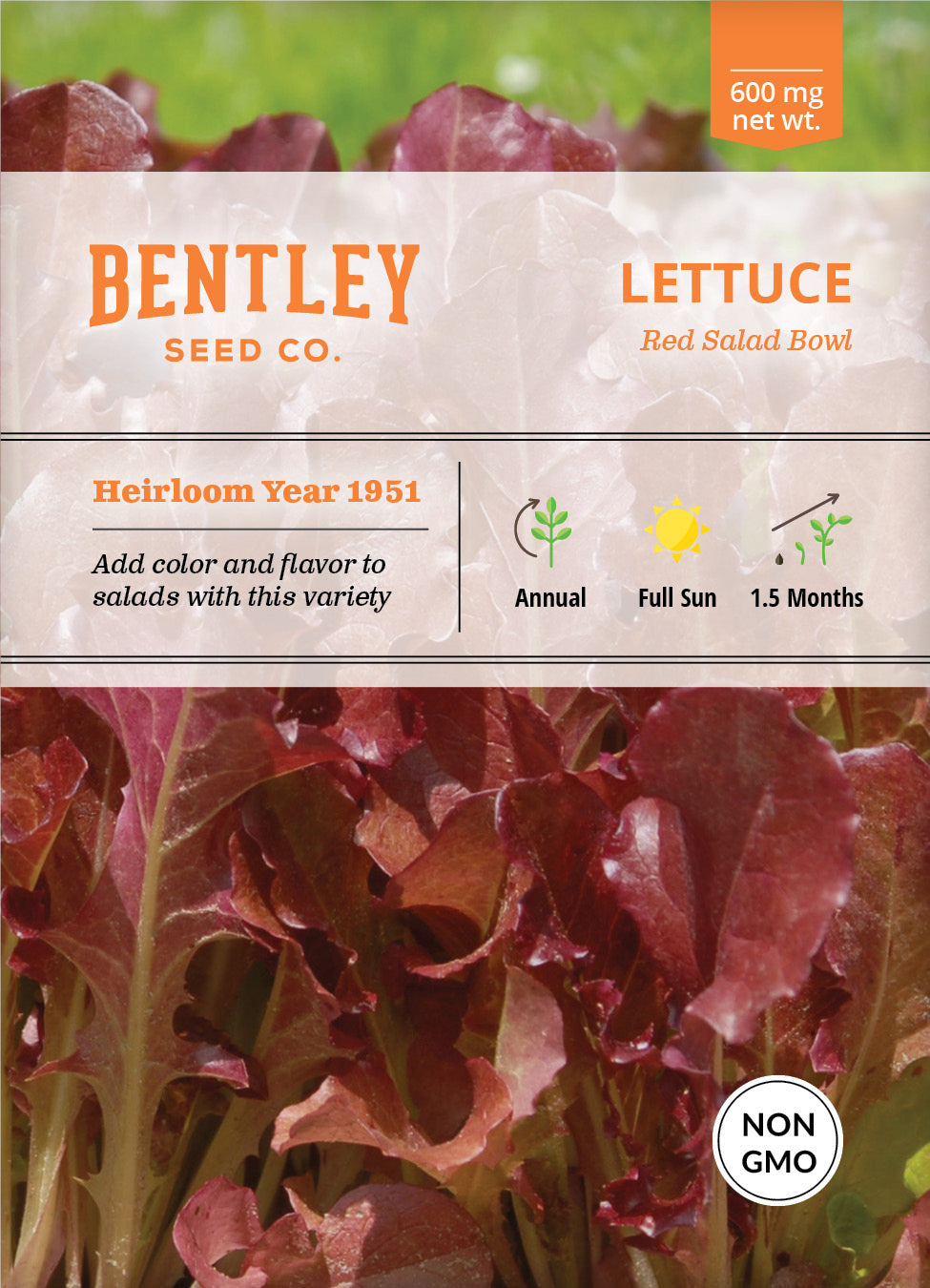 Lettuce, Red Salad Bowl Seed Packets flower seeds
