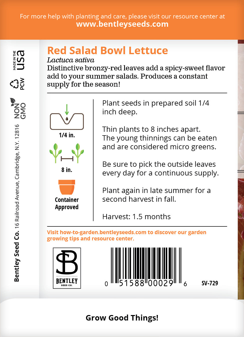Lettuce, Red Salad Bowl Seed Packets flower seeds