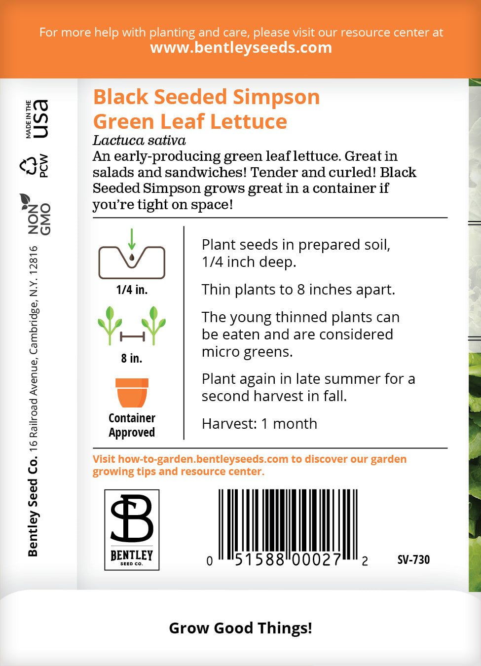 Lettuce, Simpson's Curled Seed Packets garden seeds
