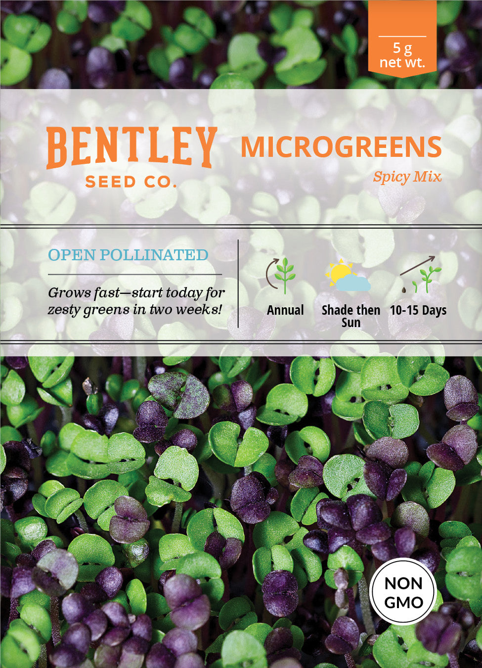 Microgreens, Spicy Mix Seed Packets flower seeds
