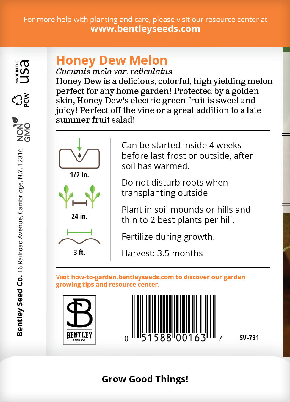 Cantaloupe, Hales Best Seed Packets flower seeds