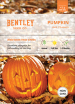 Pumpkin, Jack O' Lantern Seed Packets seed packet