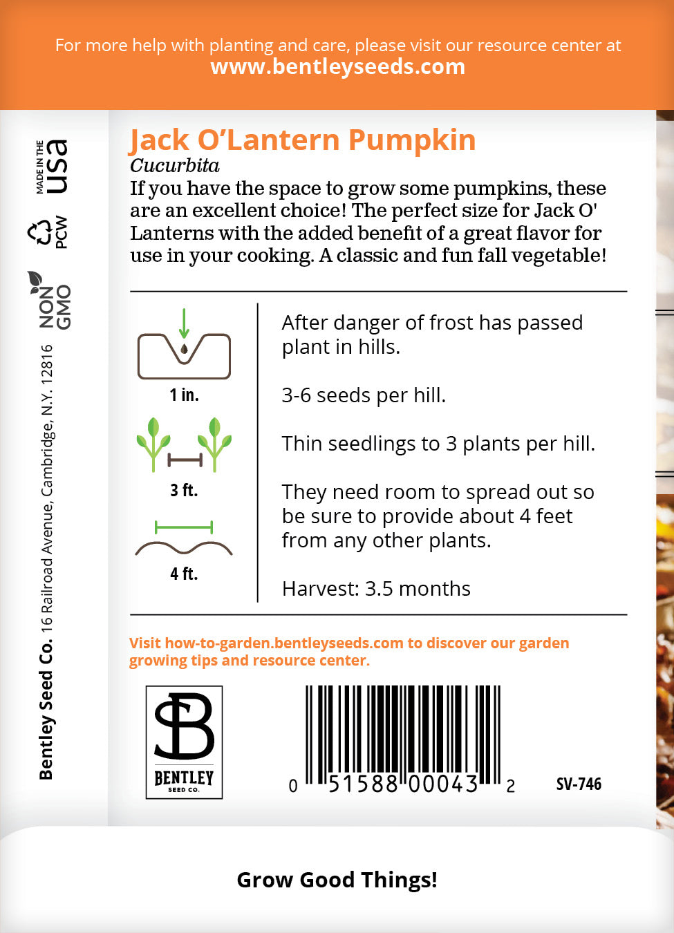 Pumpkin, Jack O' Lantern Seed Packets seed packet