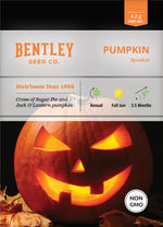 Pumpkin, Spookie Seed Packets flower seeds