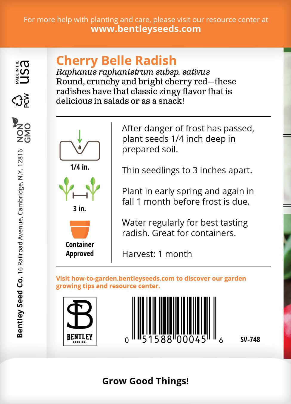 Radish, Cherry Belle Seed Packets flower seeds