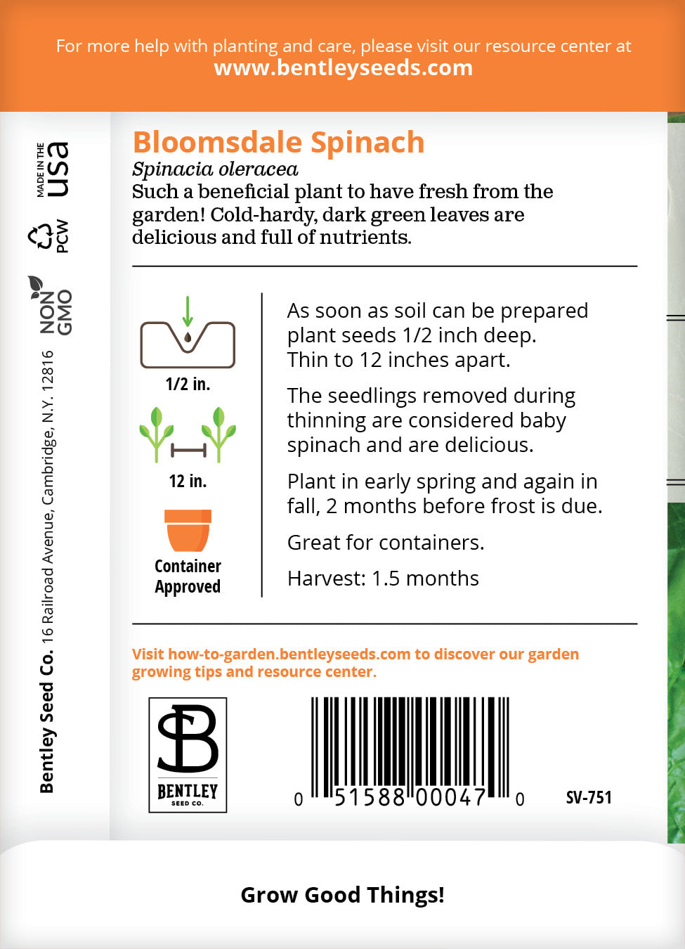 Spinach, Bloomsdale-Savoy Seed Packets garden seeds