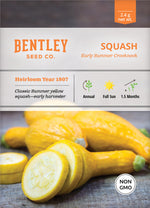 Squash, Yellow Crookneck Seed Packets garden seeds