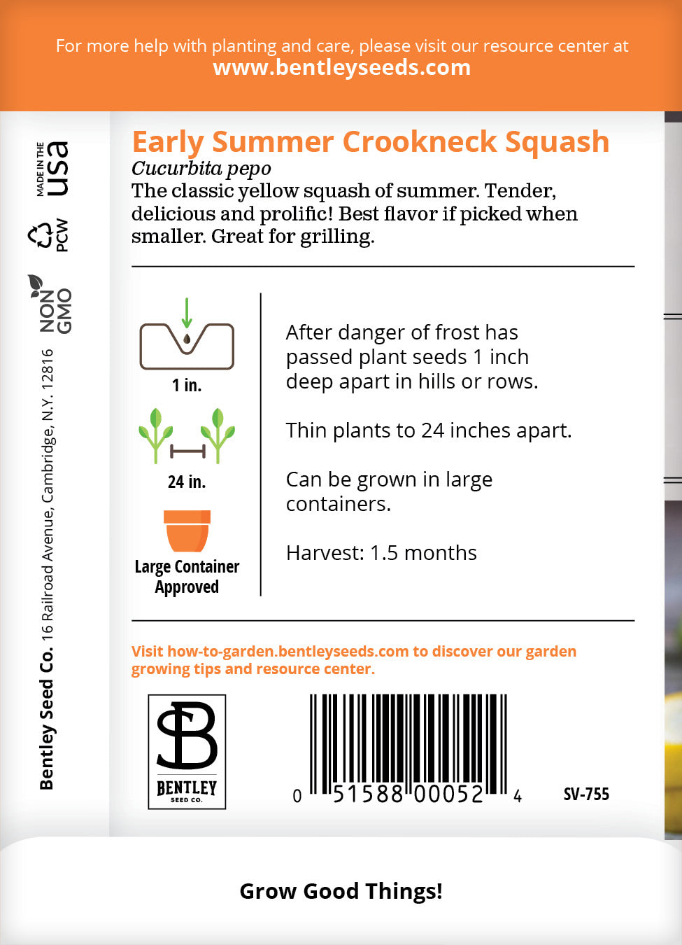 Squash, Yellow Crookneck Seed Packets garden seeds
