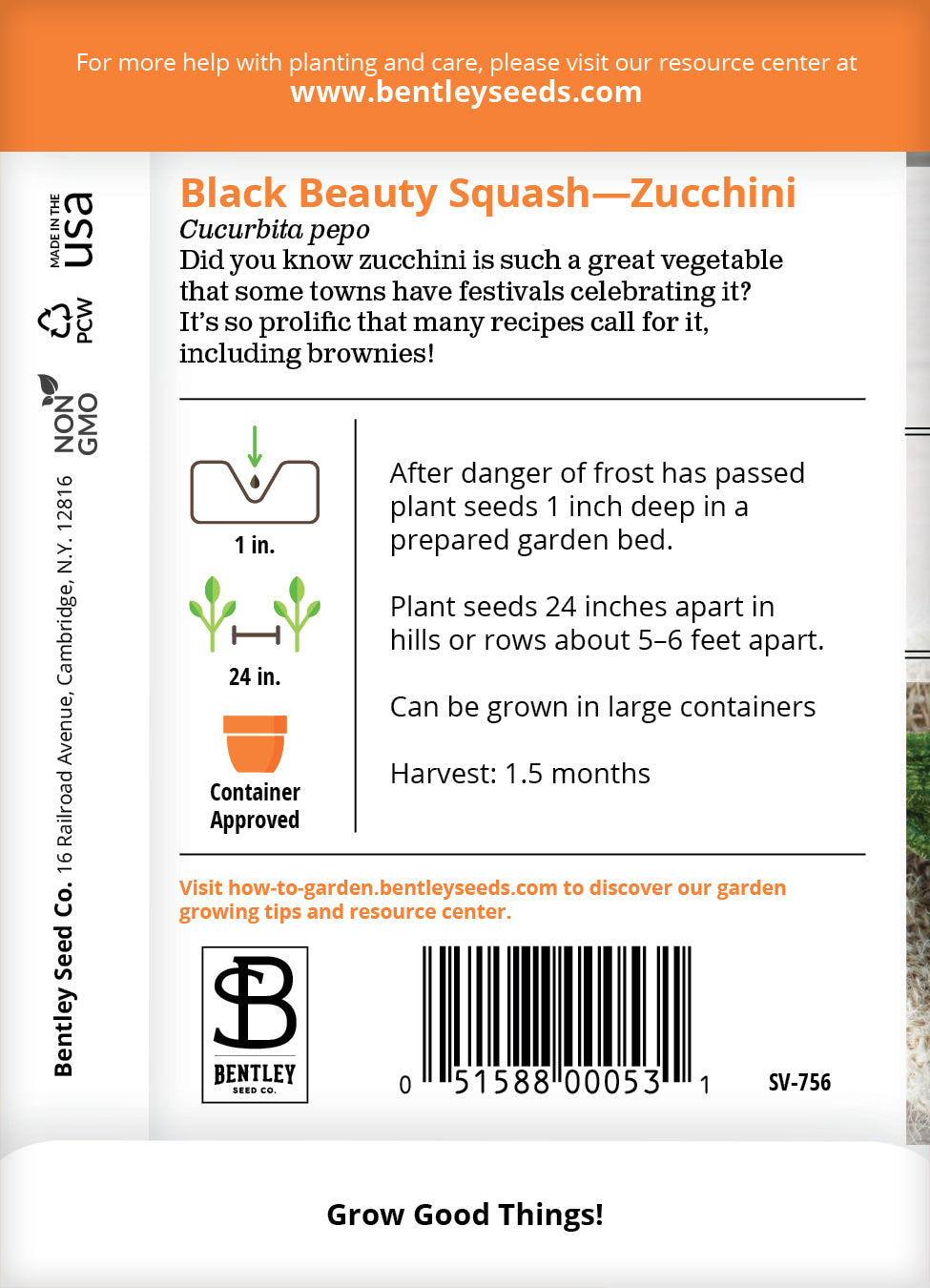 Squash, Zucchini Black Beauty Seed Packets seed packet