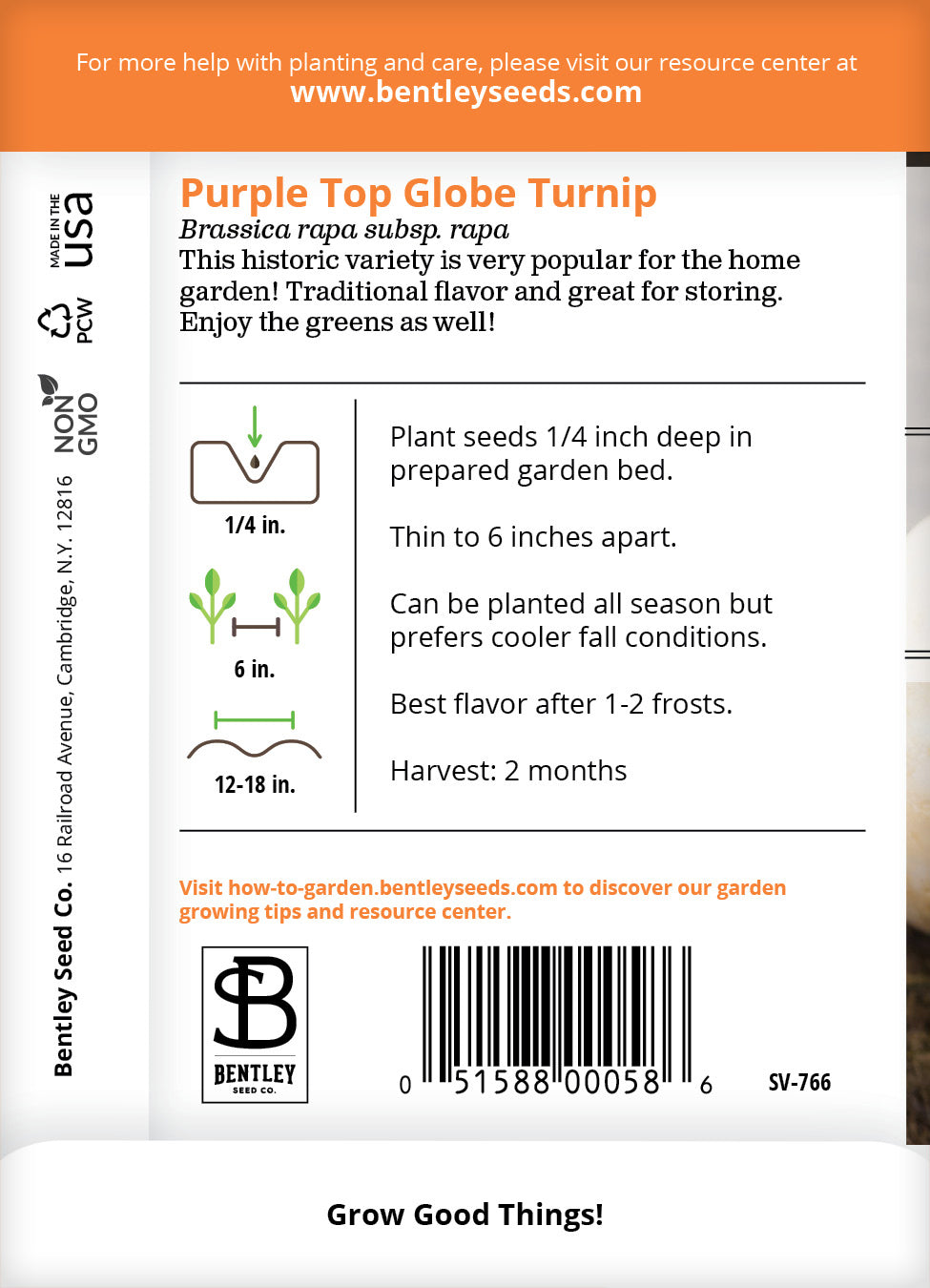 Turnip, Purple Top Seed Packets garden seeds