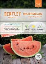 Watermelon, Sugar Baby Seed Packets seed packet