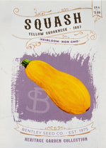 Yellow Crockneck 1807: Squash Front of seed packet
