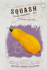 Yellow Crockneck 1807: Squash Front of seed packet