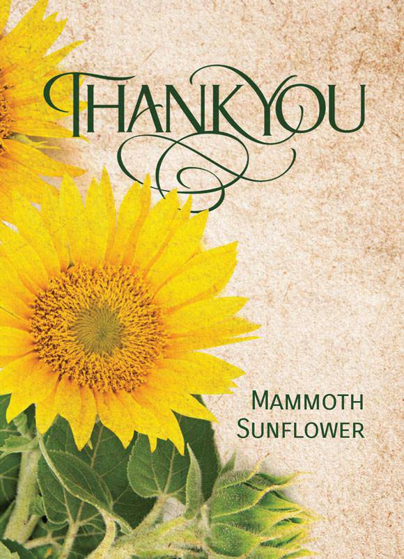 Thank You garden seeds