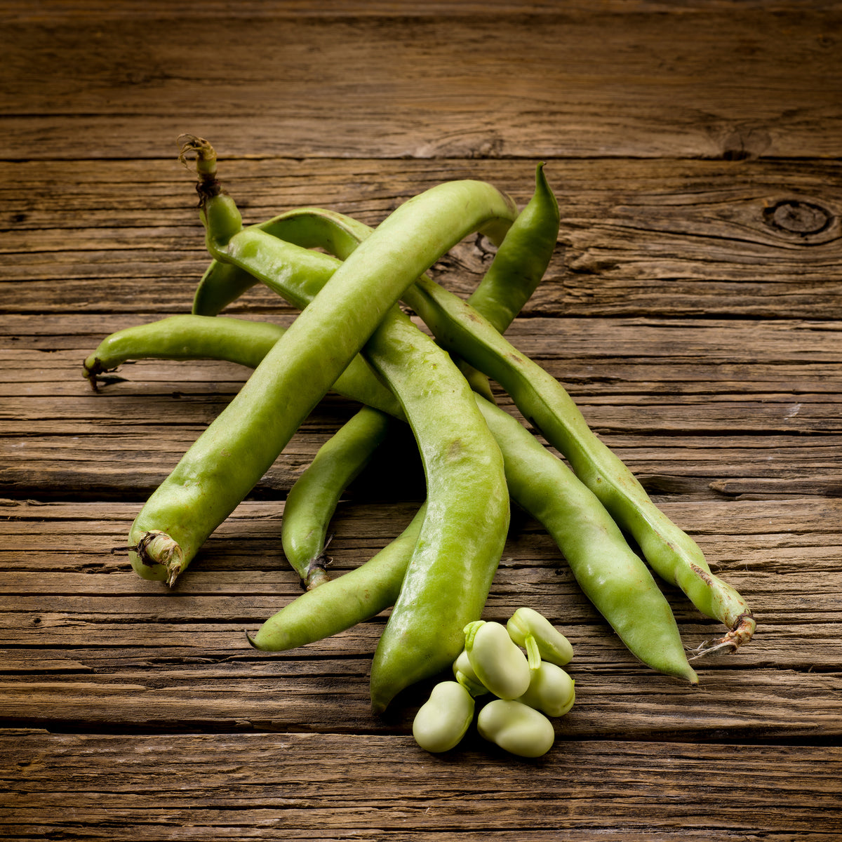 Beans, Henderson Lima seed packet