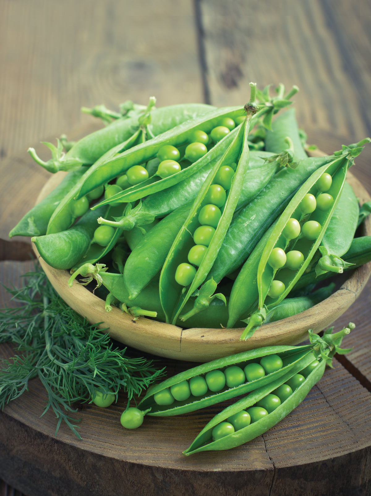 Peas, Sugar Snap Seed Packets seed packet