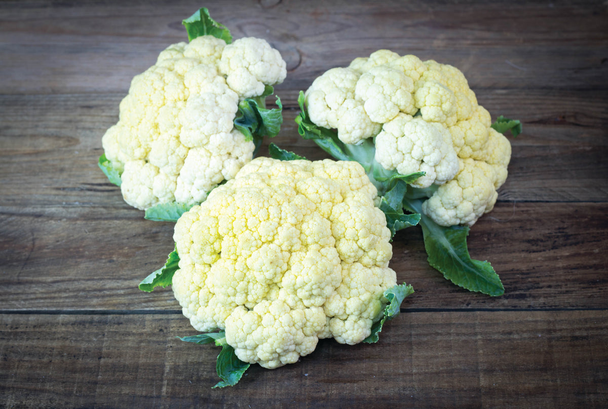 Cauliflower, Snowball flower seeds