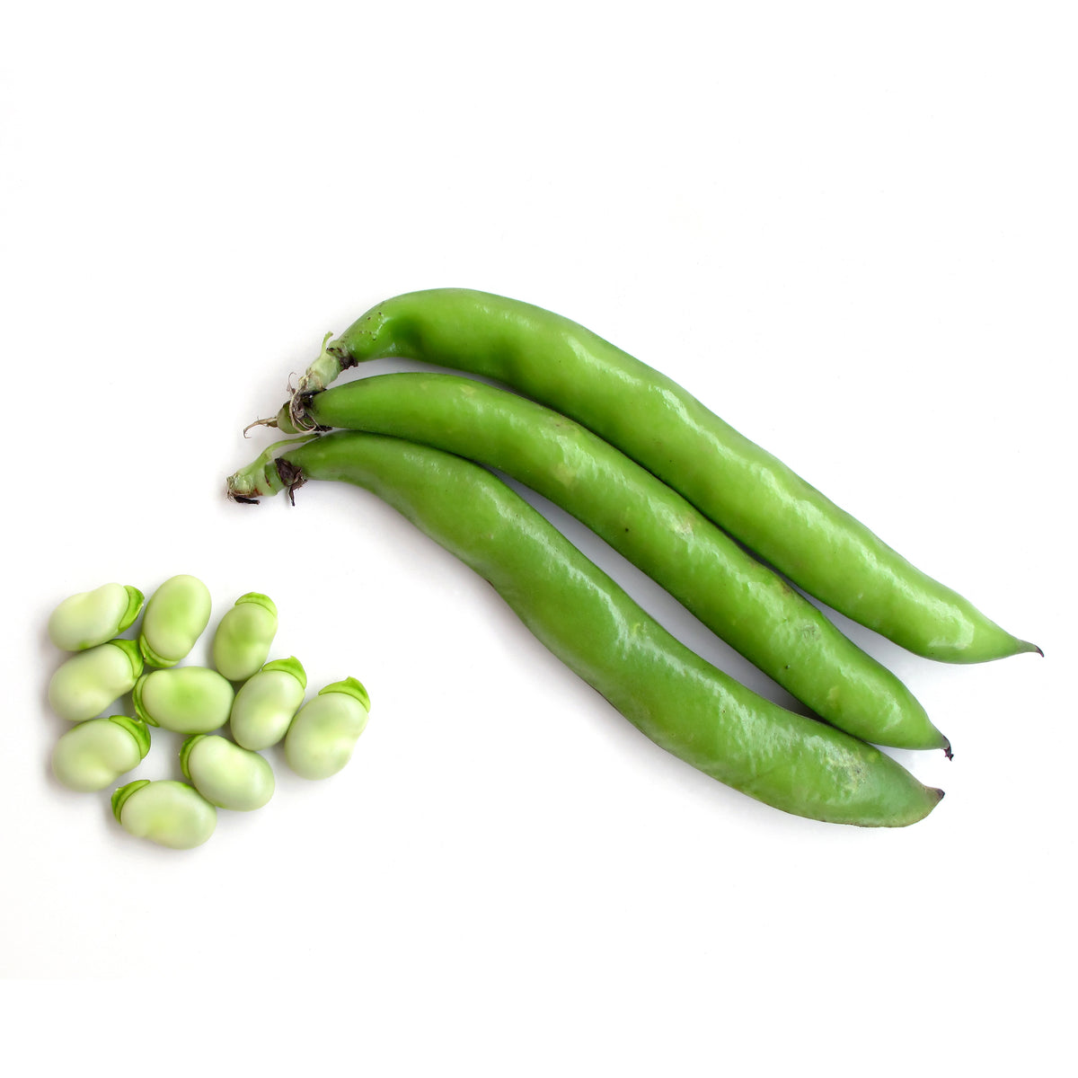 Beans, Henderson Lima seed packet