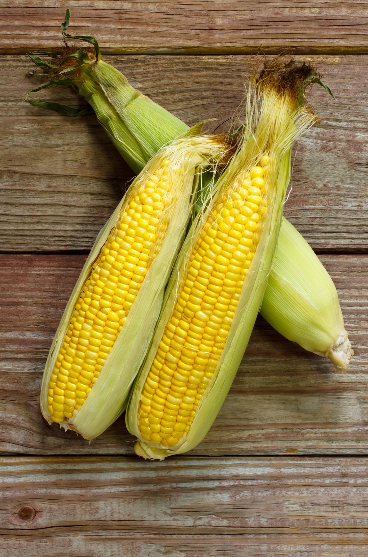 Corn, Golden Bantam flower seeds