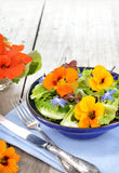 Nasturtium - Edible Salad Jewel Mixed Color Seed - Bentley Seeds
