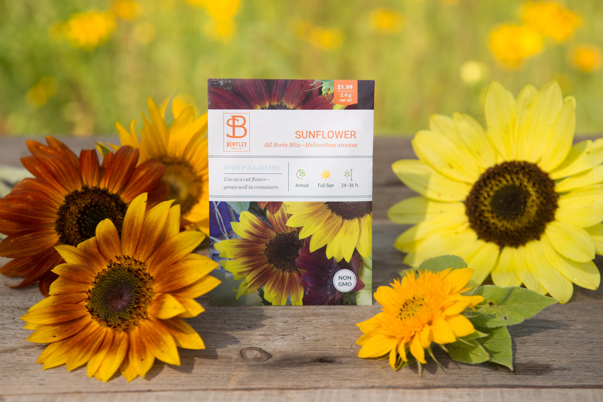Sunflower, All Sorts Mix Seed Packets flower seeds