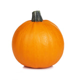 Pumpkin, Small Sugar garden seeds